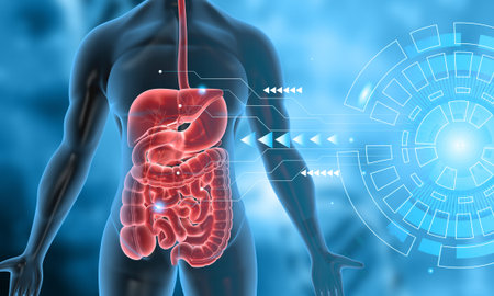 Human body anatomy on digital background. 3d illustration	