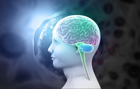 Human head and brain anatomy on medical background. 3d illustration