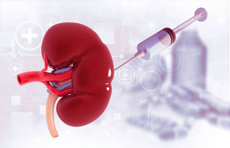 kidney with medication. 3d illustrationの写真素材