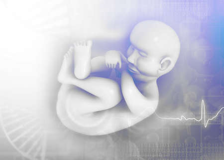 Fetus on medical background. 3d illustrationの写真素材