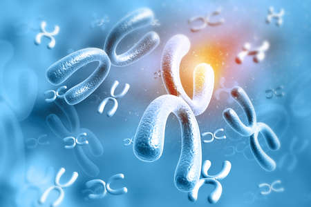 Human chromosomes. Genetics concept. 3d illustrationの写真素材