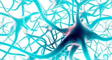 Neuron cells on isolated background. 3d illustration