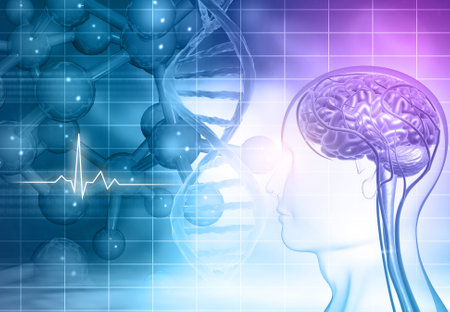 Human brain under scientific background. 3d illustrationの写真素材