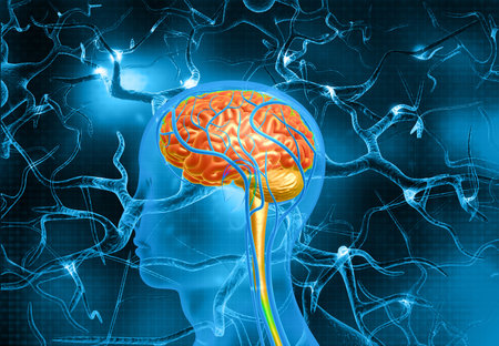 Human brain and neurons abstract background. 3d illustration