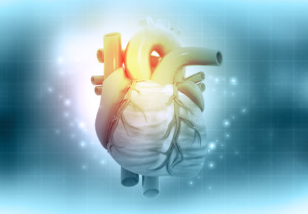 Human heart with ecg graph. 3d illustrationの写真素材