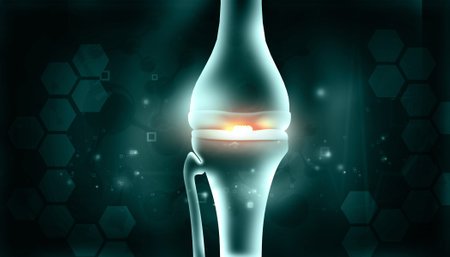 Human knee joint anatomy on medical background. 3d illustrationの写真素材