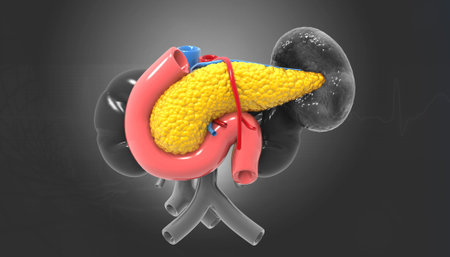Human pancreas on dark background. 3d illustrationの写真素材