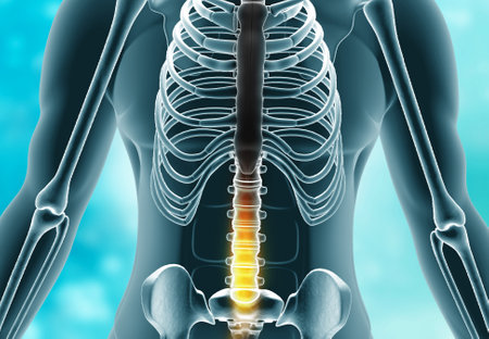 Human backbone pain. 3d illustrationの写真素材