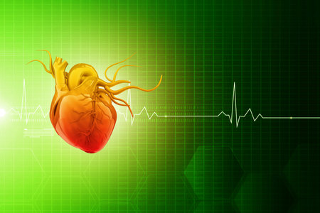 Human heart anatomy with ecg background. 3d illustrationの写真素材