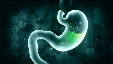 Human stomach gas problem concept. 3d illustrationの写真素材