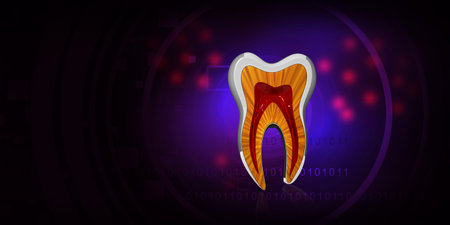 Cross section of human teeth on blue background. 3d illustrationの写真素材
