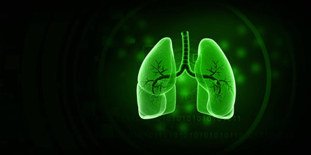 Human lungs anatomy on green background. 3d illustrationの写真素材