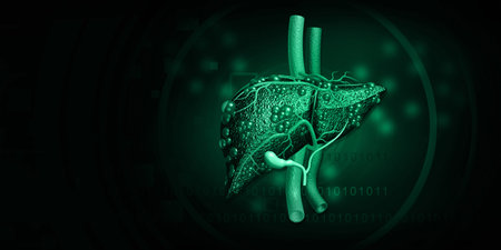 Human Liver anatomy on scientific background. 3d illustration