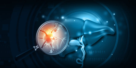 Hepatitis b infected liver. 3d illustrationの写真素材