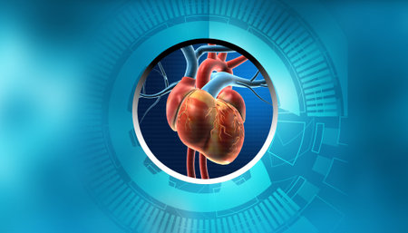 Human heart anatomy on digital technology background. 3d illustrationの写真素材