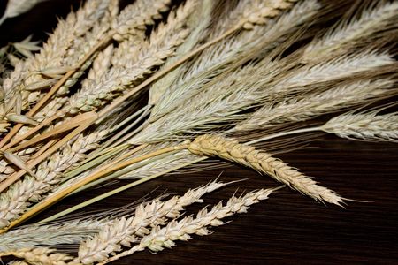 The dry cereal as decoration on table の写真素材