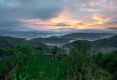 Sunrise from hilltop with low clouds and orange light of sun. Image taken from hill top showing dawn view above hills and forest.の写真素材