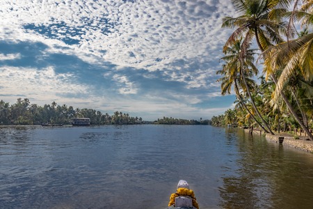 Sea backwater at alleppey kerala with palm tree and boat front edge giving wide look of beautiful nature.の写真素材