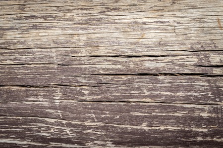 Wood dry pattern due to nature due to long exposure in different weatherの写真素材