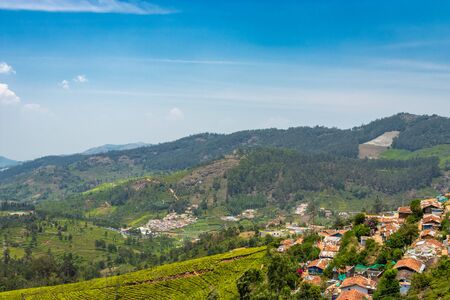 Tea gardens in the foothills of western ghat image take at India. The landscape is amazing with Green tea plantations in rows.の写真素材