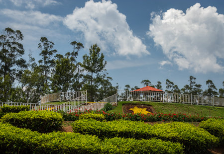 Tea gardens in the foothills of western ghat image take at India. The landscape is amazing with...