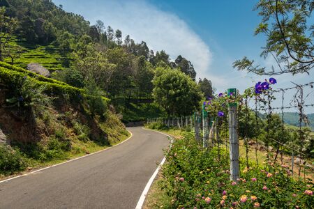 Isolated road in the hill of western ghat image is taken at ooty tamilnadu showing the peace and beauty of nature.の写真素材