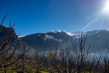 Snow at hills with tree and sky image is taken at manali india showing its amazing natural view.の写真素材