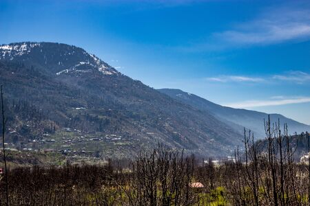 Snow at hills with tree and sky image is taken at manali india showing its amazing natural view.の写真素材