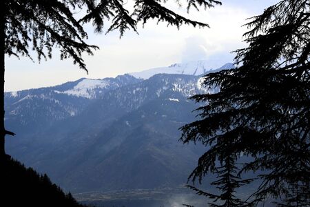 Snow at hills with tree and sky image is taken at manali india showing it amazing natural view.の写真素材