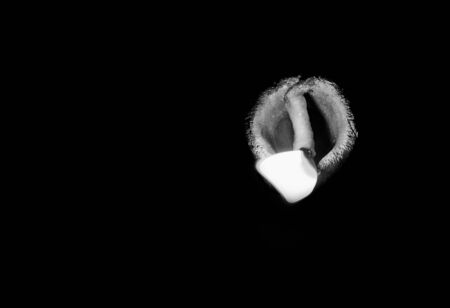 traditional religious soil made oil lamp isolated lightened for almighty godの写真素材