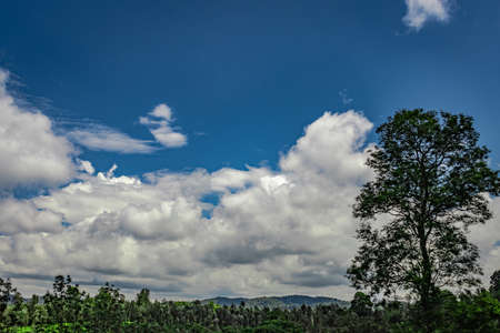 mountain range with amazing blue sky flat angle shot image is taken at south india. it is showing the beautiful landscape of south india.の写真素材
