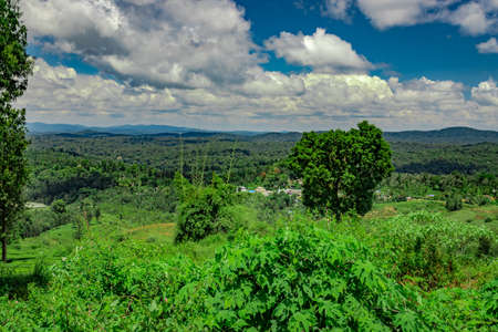 mountain range with amazing blue sky flat angle shot image is taken at south india. it is showing the beautiful landscape of south india.の写真素材