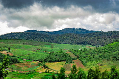 mountains covered with tea gardens and green forests image is taken at south india. it is showing the beautiful landscape of south india.の写真素材