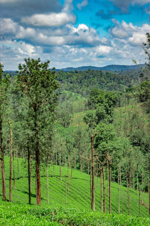 mountain range with amazing blue sky flat angle shot image is taken at south india. it is showing the beautiful landscape of south india.の写真素材