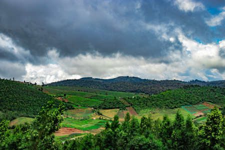 mountains covered with tea gardens and green forests image is taken at south india. it is showing the beautiful landscape of south india.の写真素材