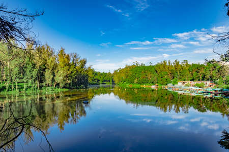 lake pristine with green forest water reflection and bright blue sky at morning image is taken at ooty lake tamilnadu south india. it is showing the beautiful landscape of south india.の写真素材