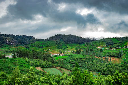 mountains covered with tea gardens and green forests image is taken at south india. it is showing the beautiful landscape of south india.の写真素材