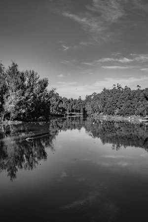 lake pristine with green forest water reflection and bright blue sky at morning in black and white image is taken at ooty lake tamilnadu india. it is showing the beautiful landscape of south india.の写真素材