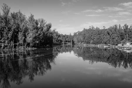 lake pristine with green forest water reflection and bright blue sky at morning in black and white image is taken at ooty lake tamilnadu india. it is showing the beautiful landscape of south india.の写真素材