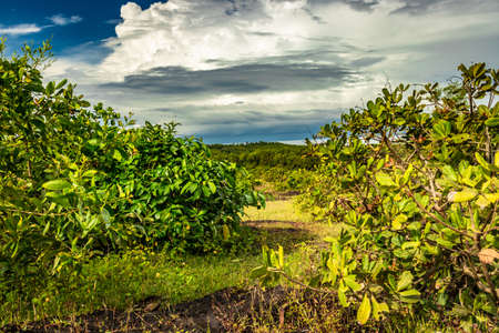 mountain landscape with amazing blue sky at morning image is taken at om beach gokarna karnataka india.の写真素材