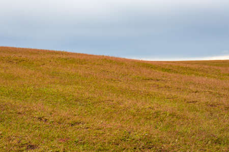 yellow grass mountains with flat sky at morning from different angles image is taken at latilum peak shillong meghalaya india.の写真素材