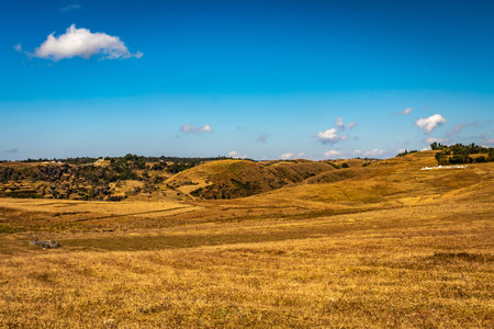 yellow grass field with blue sky wallpaper left space for text is showing the beautiful natural...
