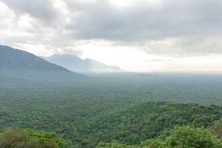 dense green forest with dramatic cloud landscape image is taken at karnataka india.の写真素材