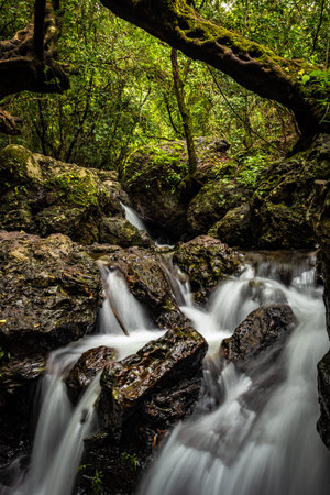 waterfall cover with green lush forest long exposure flat angle imageの写真素材