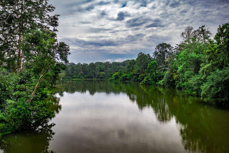 river surrounded by lush green forest with white dramatic cloudの写真素材