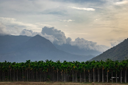 Mountains Velliangiri view with blue sky and green forest image taken at coimbatore india showing its beauty.の写真素材