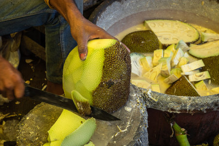 man peeling fresh organic unripe jack fruit for vegetable from farm close up shotの写真素材