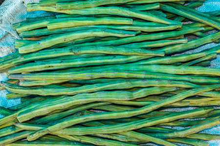 fresh organic drumstick vegetable from farm close up from different angleの写真素材