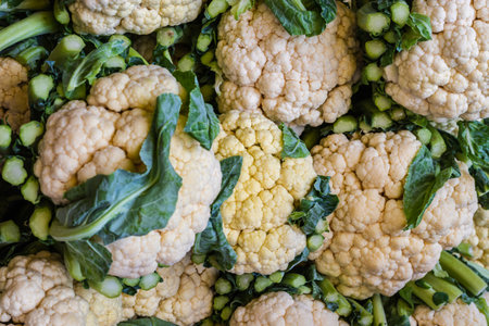 fresh organic cauliflower from farm close up from different angleの写真素材