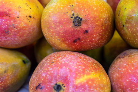 fresh organic testy mangoes from farm close up from different angleの写真素材